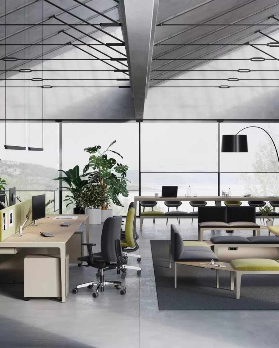 Modern and Designer Padded Bench with Backrest - Alplus