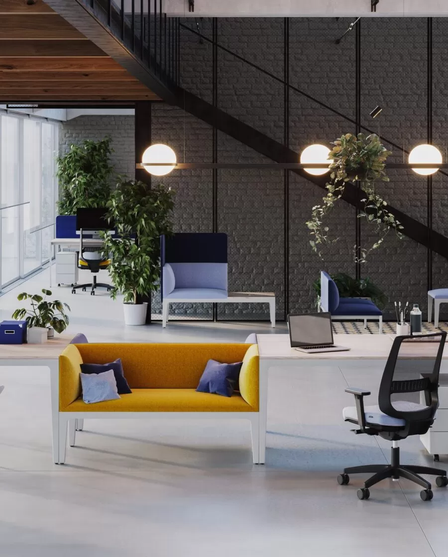 Modern and Designer Padded Bench with Backrest - Alplus