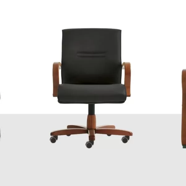 Leather Office Chair. Luxury and Vintage Retro style - Frezza
