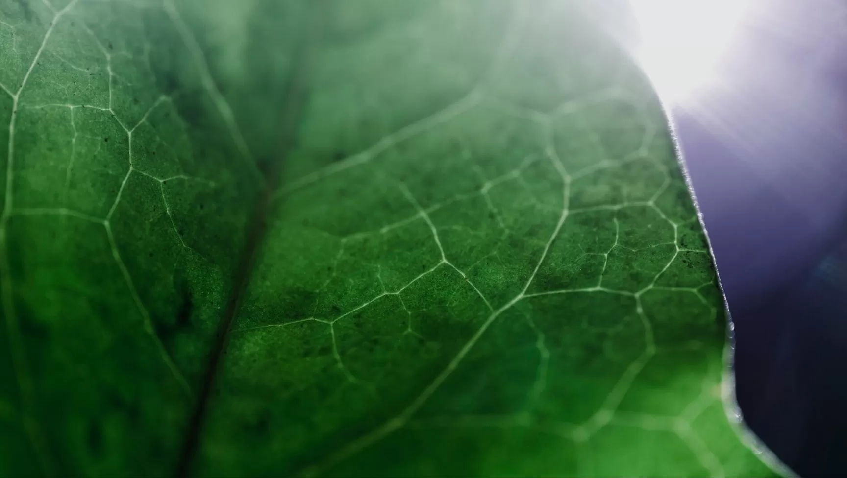 Social and Environmental Responsibility in Furniture Production