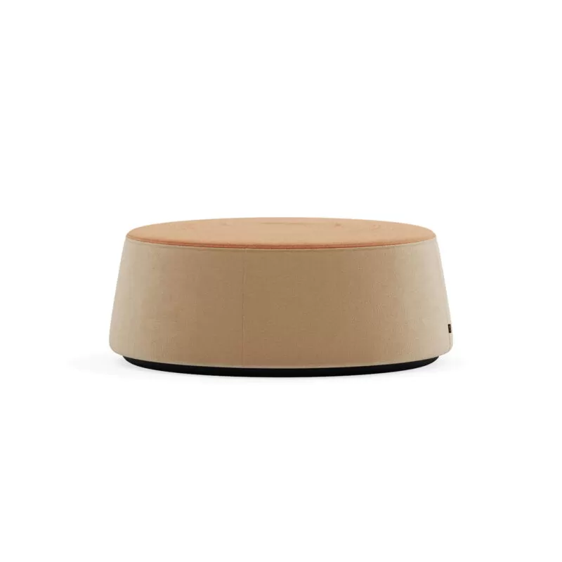 pouf per ufficio studio di desing