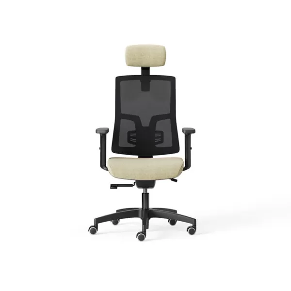 Ergonomic Office Chair with Lumbar Support - Kiku