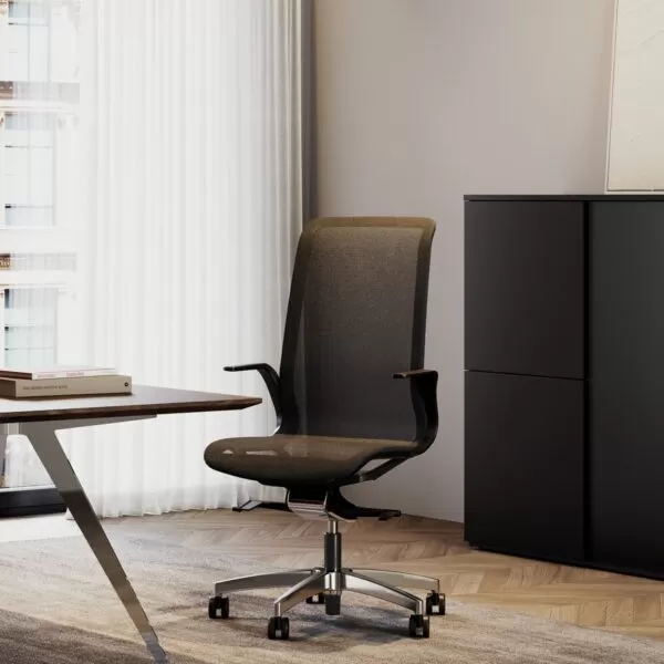Executive Office Chairs. Ergonomic and Design Chairs - Jodie