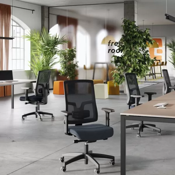 Ergonomic Office Chair with Lumbar Support - Kiku