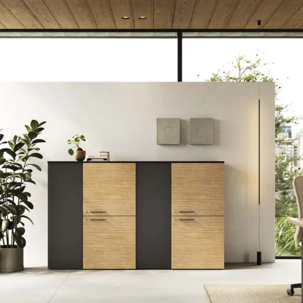 Design Office Cabinet - Madia Frezza